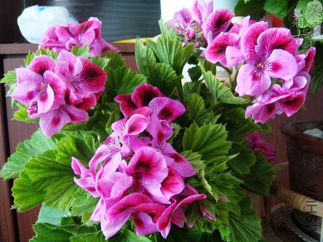 ���жž��� (5).jpg