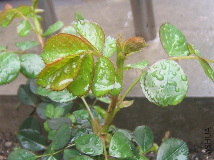 DSCF5066.JPG