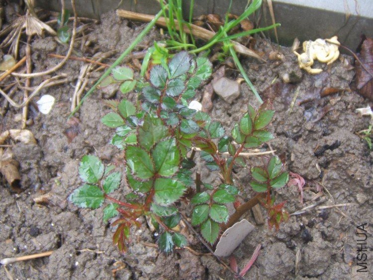 DSCF5059.JPG