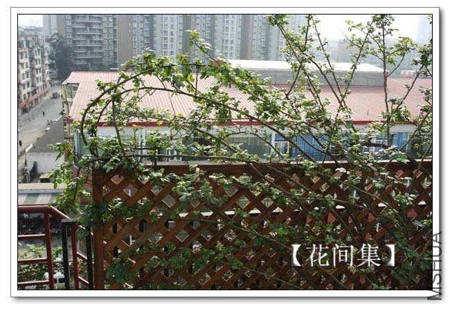 IMG_2463 ����.jpg