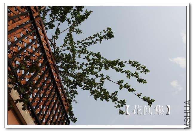 IMG_2462 ����.jpg