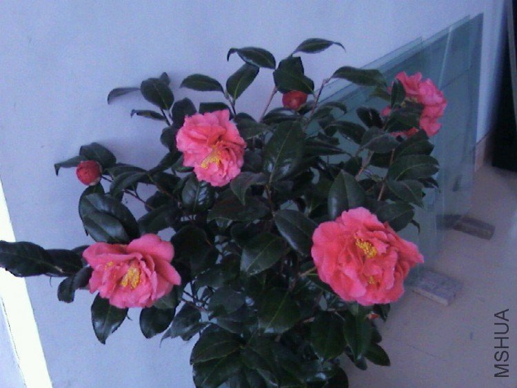 ��Ƭ-0162.jpg