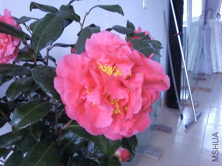 ��Ƭ-0157.jpg