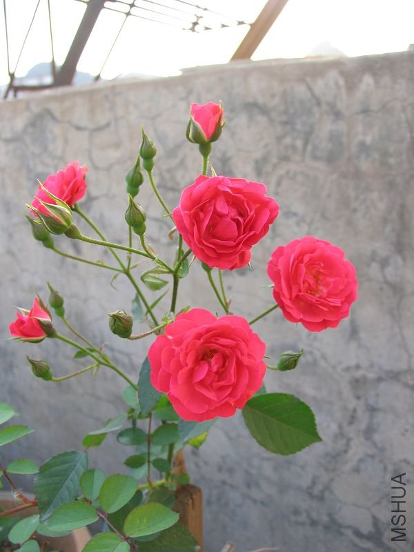 �¼��� 088.jpg