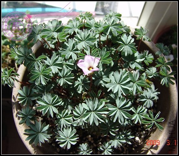 ���㿴������,���Ĳ�������...