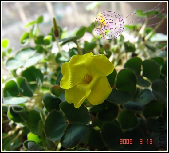 ĳ�ƻ�,�ܻ�...