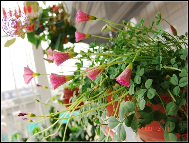 ��������Ҳ���ɰ���~~