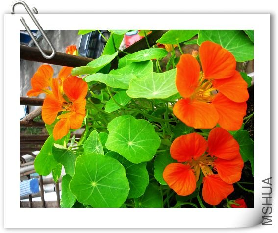 nEO_IMG_��Ƭ 380.jpg