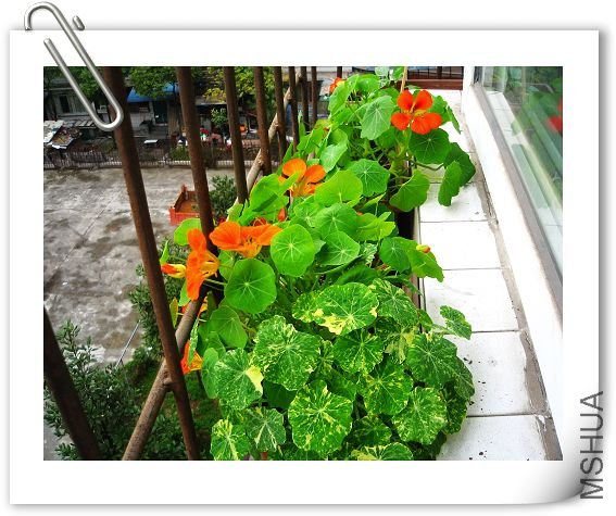 nEO_IMG_��Ƭ 382.jpg