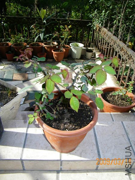 100_0060.JPG