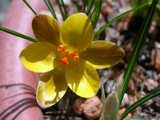 DSCN3612.jpg
