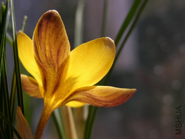 DSCN3614.jpg