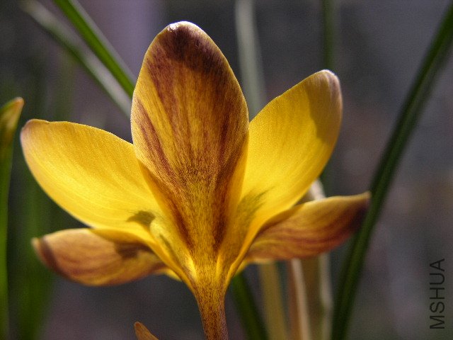DSCN3616.jpg