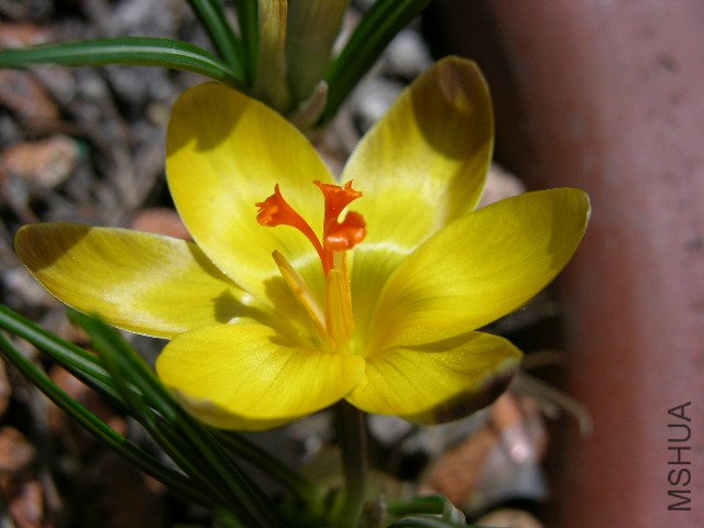 DSCN3617.jpg