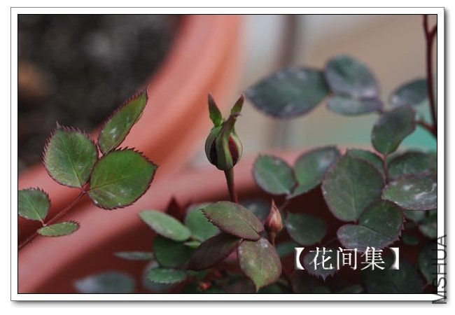 IMG_0073 ����.jpg