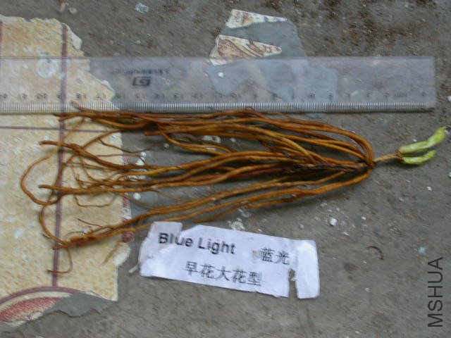 DSCN4209.JPG