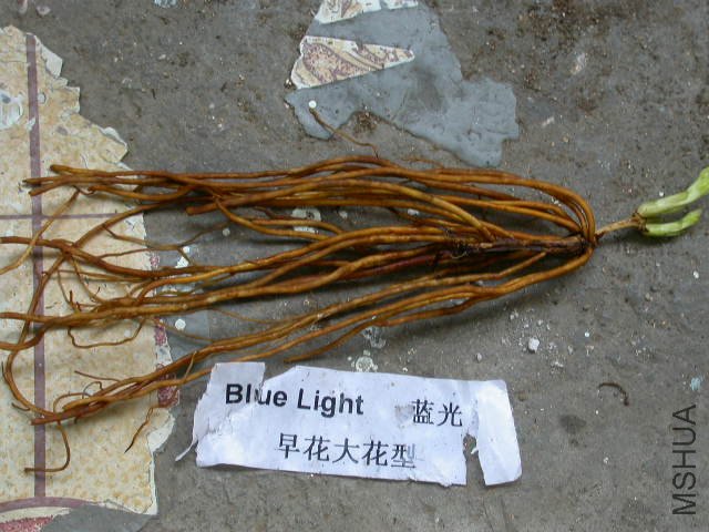 DSCN4208.JPG