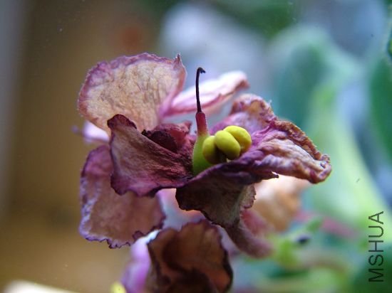 ��������֪���ǲ��ǻ�����,��������������Ҫ��һЩ.֮ǰ����Щ���ڹ���,��û�ɹ�,���ʲôҲû��,��������?