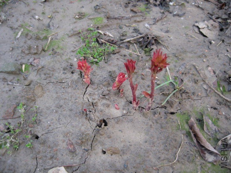 ��Ƭ 050_��С��С.jpg