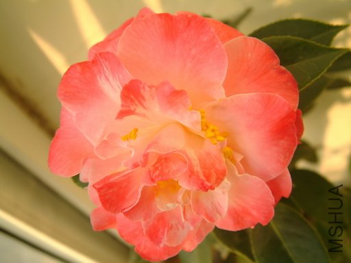 Picture 585_resize.jpg