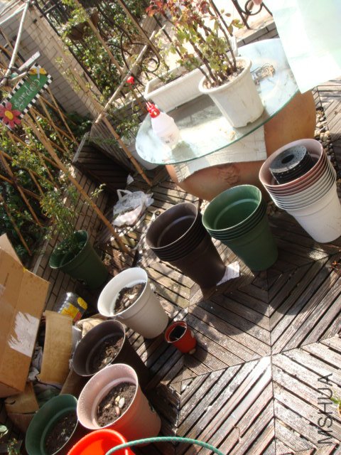 DSC02326.JPG