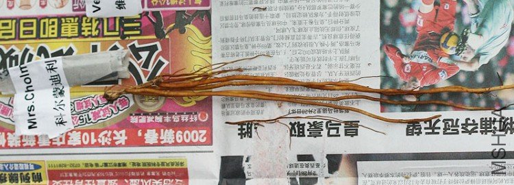 ��Ƭ 004����.jpg