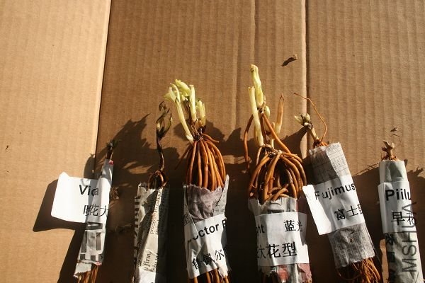 200315С�������� (1).JPG