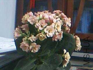 ͼƬ 006.jpg