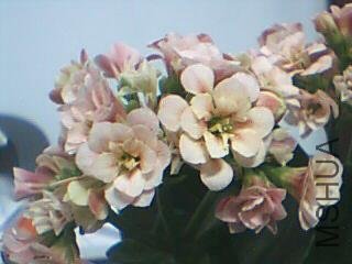 ͼƬ 010.jpg
