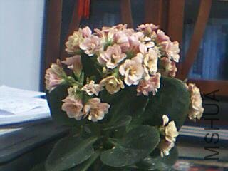 ͼƬ 005.jpg