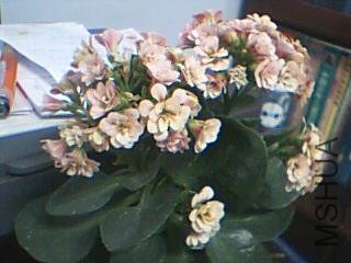 ͼƬ 011.jpg