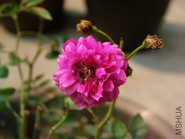 DSCF8943.jpg