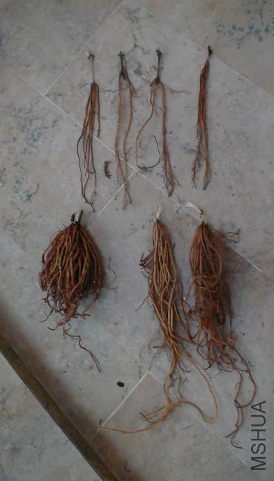 �ѳ��·�, ʧ����!����ķ�������õ�,�����ľ�......