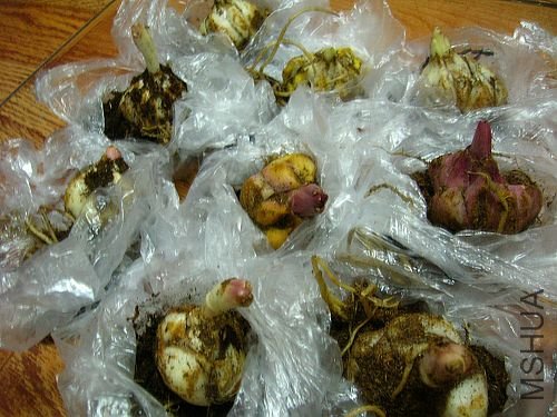 DSCN9329.jpg