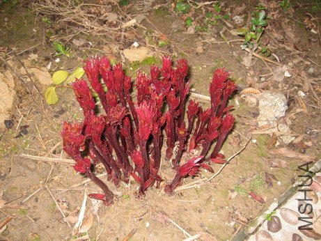 ��Ƭ 047_��С��С.jpg