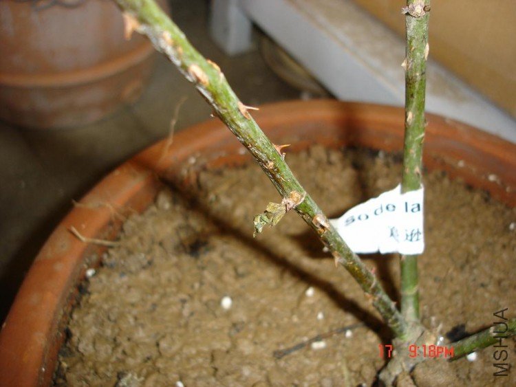 ��Ƭ0313 103.jpg