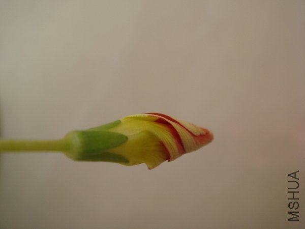 ���ϵ�����