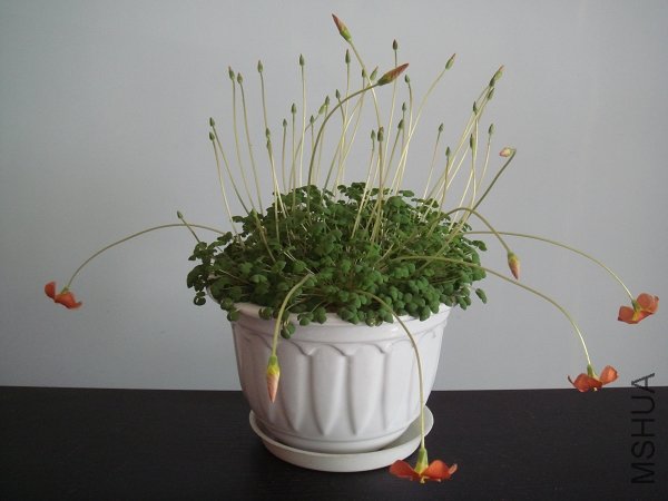 ����ȫ���գ���ȡ��İ����ʷ������ţ���������Ǻ�