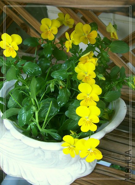 ���к������һ��С��