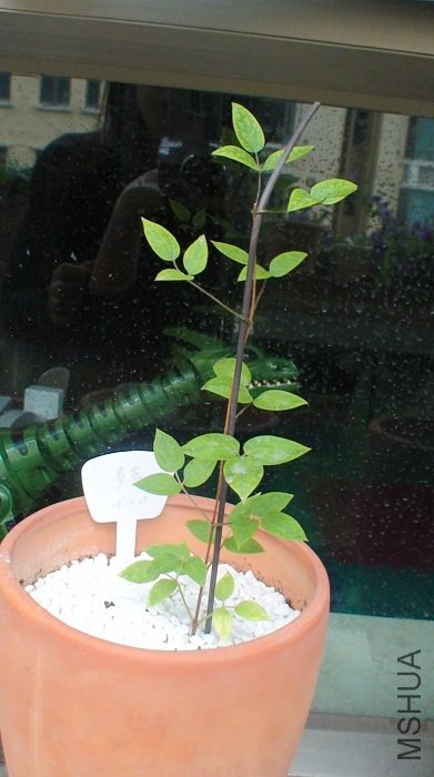 ������һ����ʱҲֻ��3�����Ķ���,����Ҳή����.���Ķ��ٶ�������Ӱ���ж��,�������ԵضԱȳ����˰�!