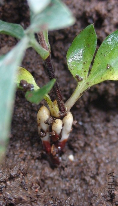 ��һ�࿴������.