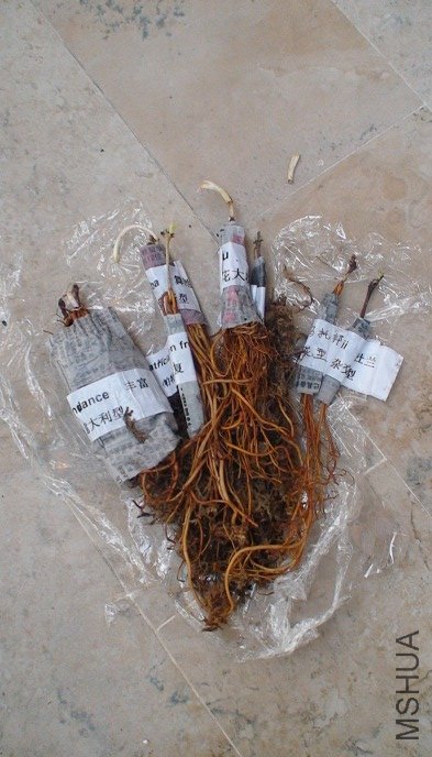 �𿪱���Ĥ������.