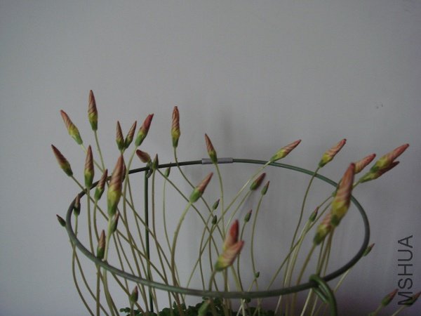 �µ���������Ū�˸�֧��֧����