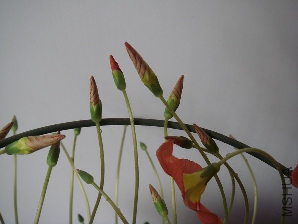 ��һ�ѻ������к�ͻ��