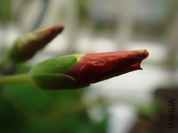 �ٿ��������������û�ˣ��Ǳ������𣿲�֪����������ʲô����