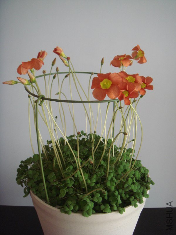 �������ȫ���գ����췢ͼ���