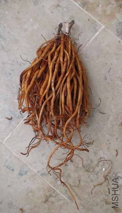 3-17��������ô����ô��ĸ���!!! ֻ��ϧ��������, �������, �ܿ�᳤������!