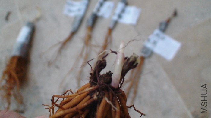 ��һ���ѿͷ��д.