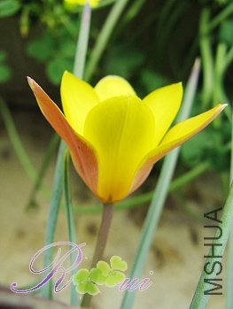 ԭ���� 9.jpg