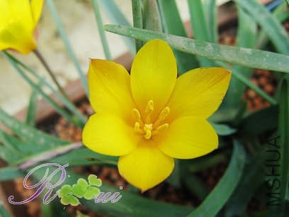 ԭ���� 6.jpg